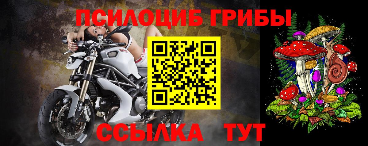 Галлюциногенные грибы Cubensis Чернушка