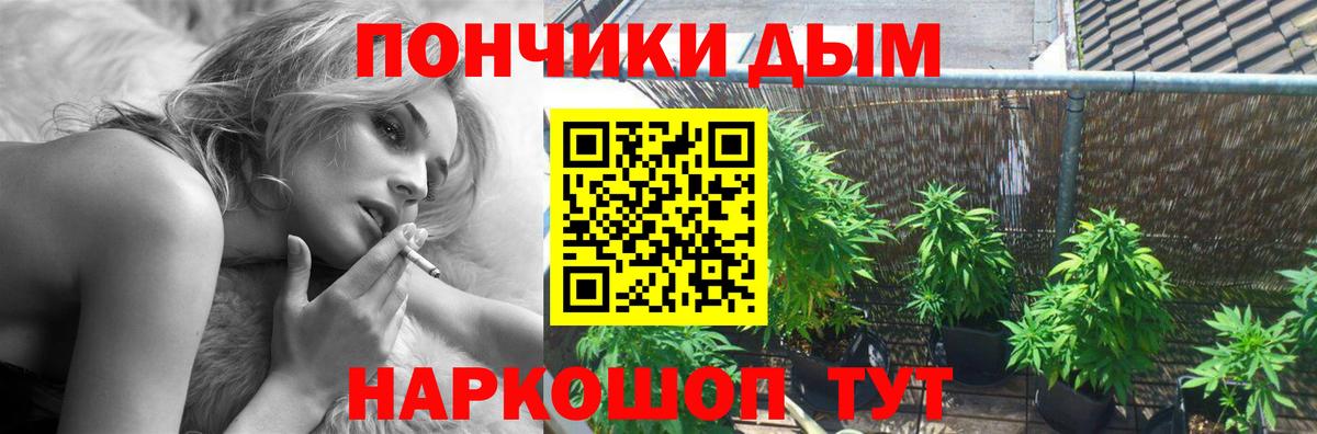 Чернушка  Бошки марихуана LSD WEED  Каннабис Bruce Banner  Вход с VPN 